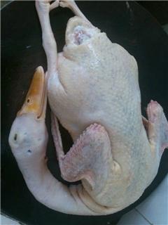 绿色田园，健康分享——我家的无公害蔬菜与家禽