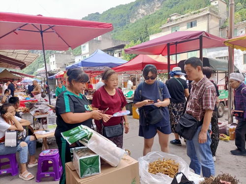 桐梓县楚米镇 避暑游火爆，带旺蔬菜家禽销售