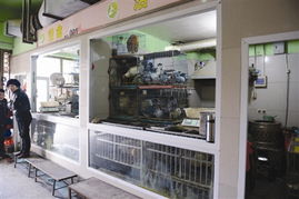 禽流感冲击温州家禽市场，餐饮业调整策略应对