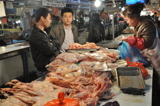 家禽农贸市场 传统与现代的交汇点